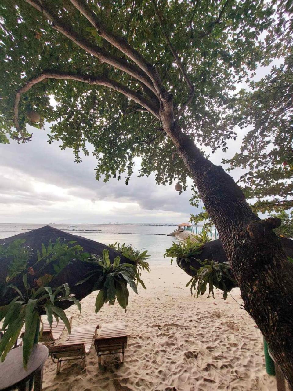 Chema'S By The Sea Hotel Samal Luaran gambar